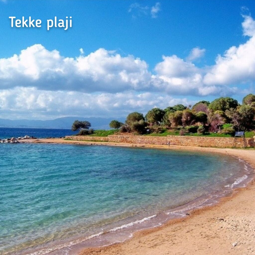 1316_2738_8949-tekke