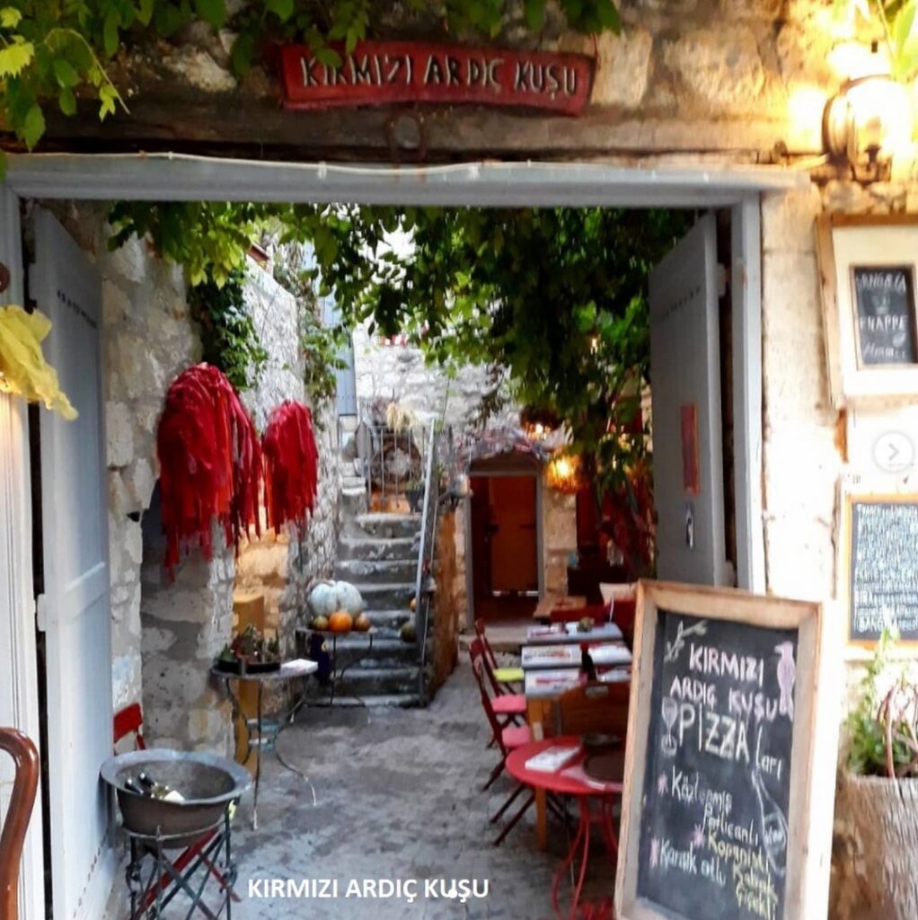 2716_2738_8590-KIRMIZI_ARDIC_KUSU
