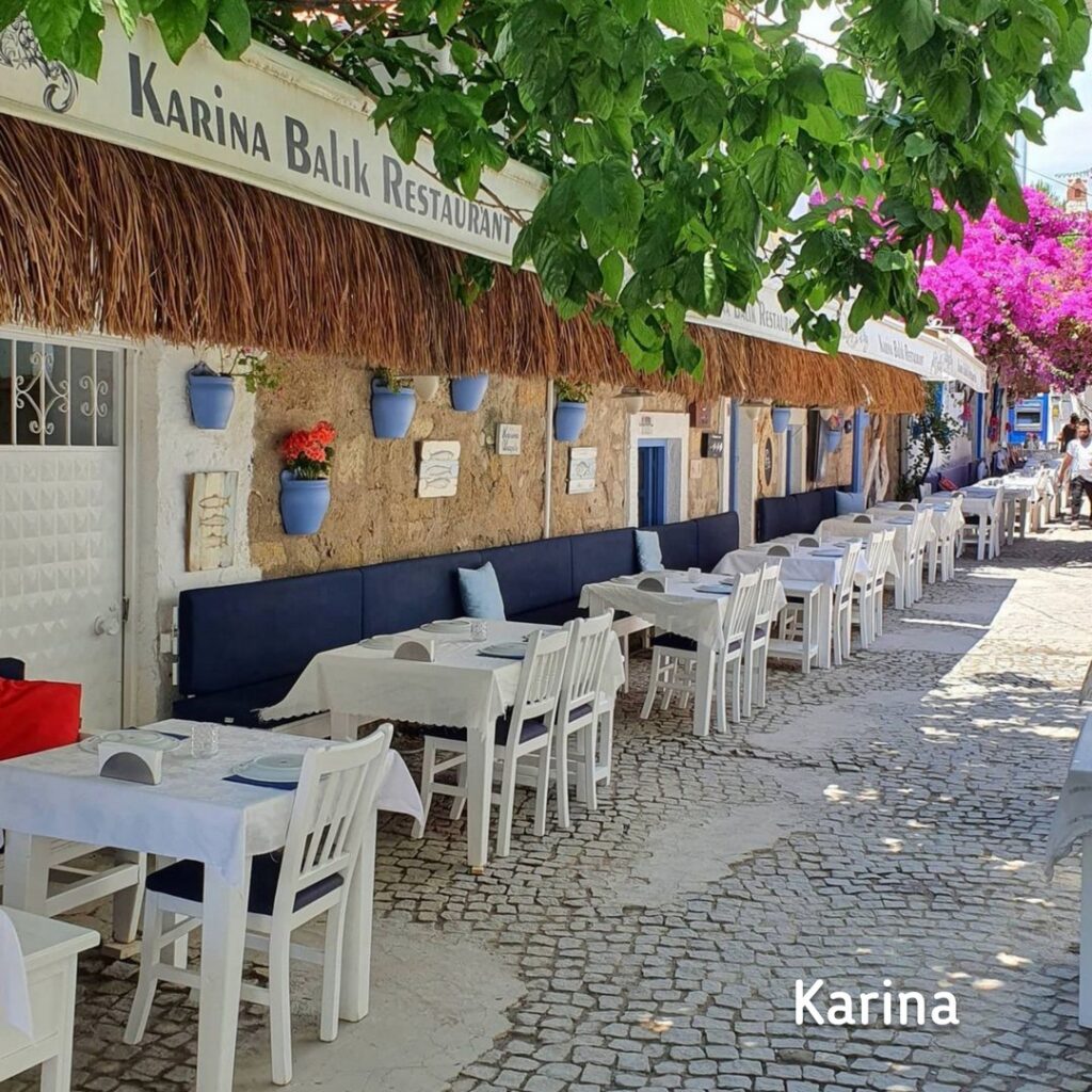 3716_2738_8582-karina