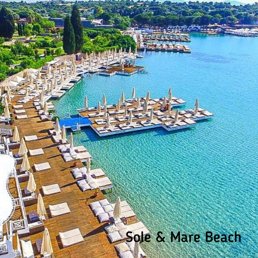 4916_2738_8953-solemare