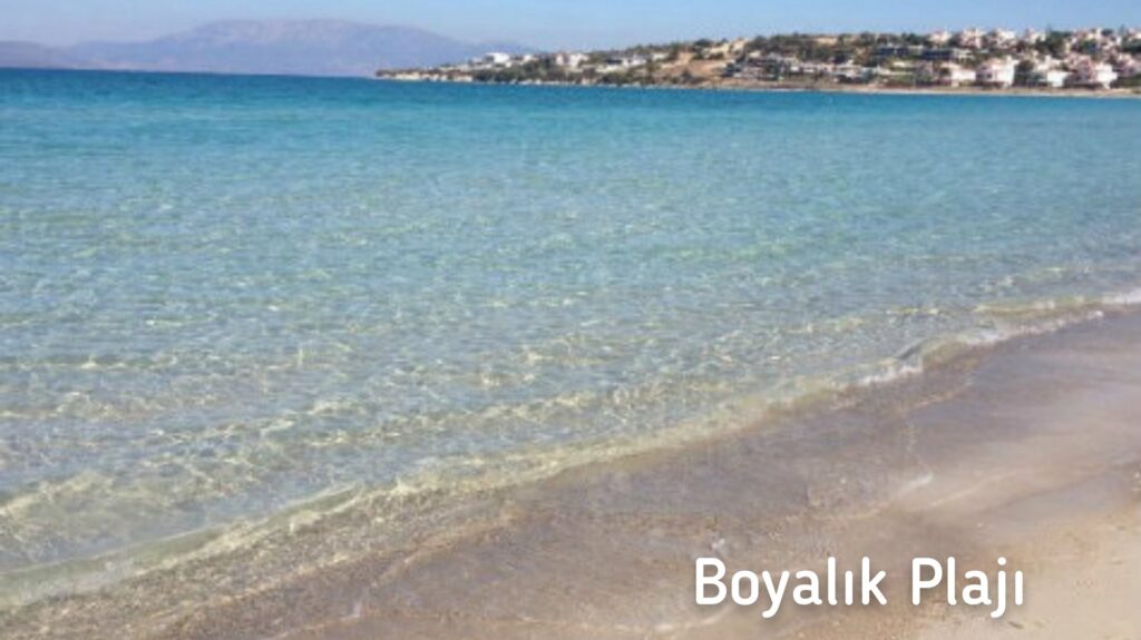 5416_2738_8953-boyalik