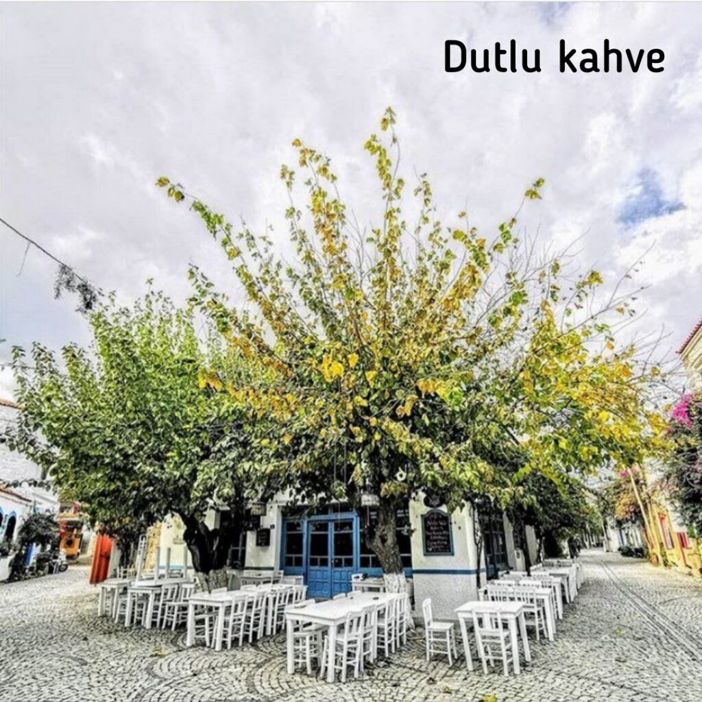 5616_2738_8591-dutlukahve