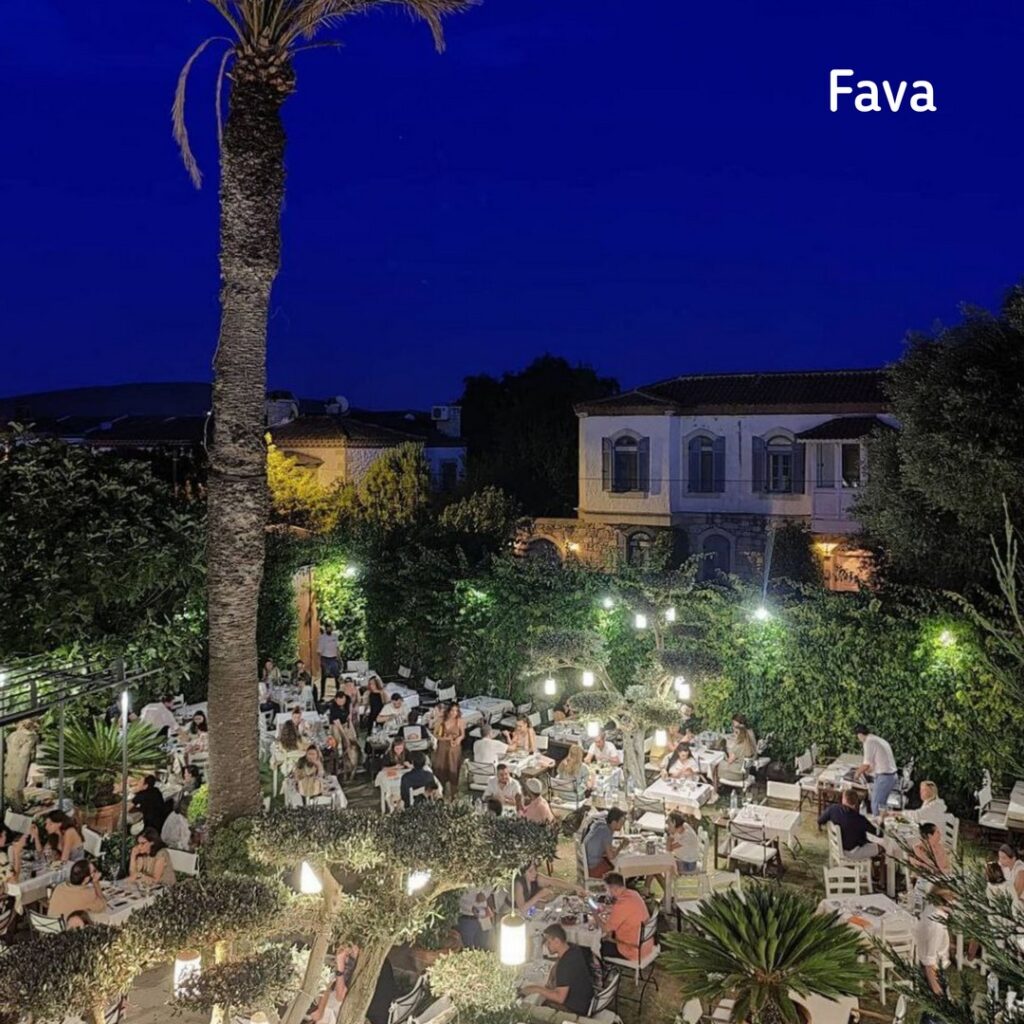 6816_2738_8589-fava