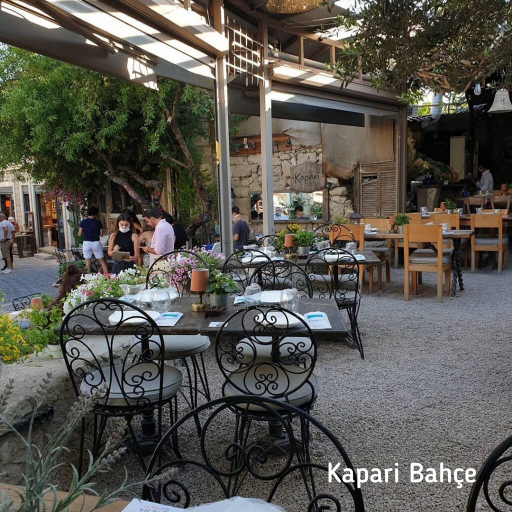 6916_2738_8586-kaparibahce