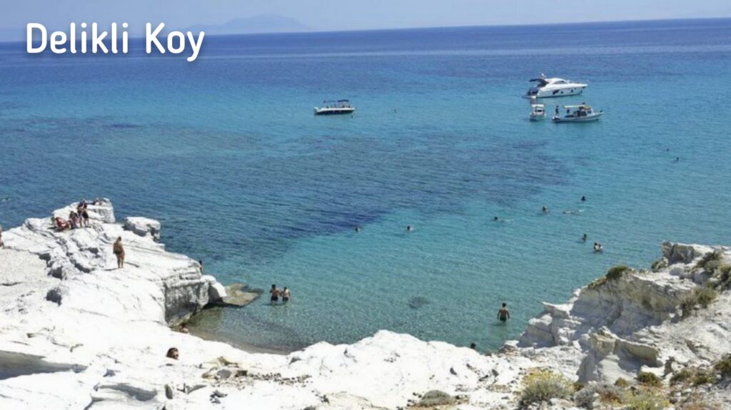 7416_2738_8948-deliklikoy