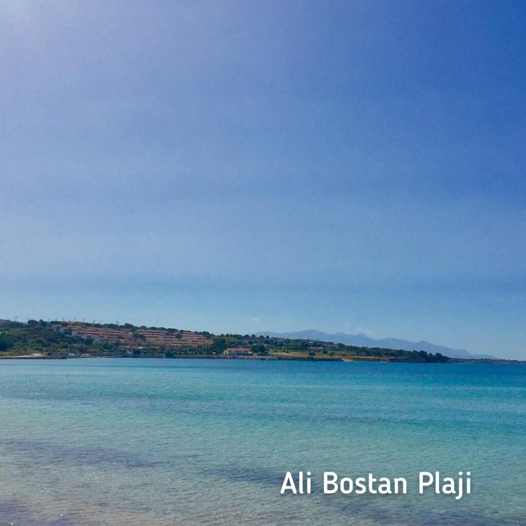 7916_2738_8946-alibostan