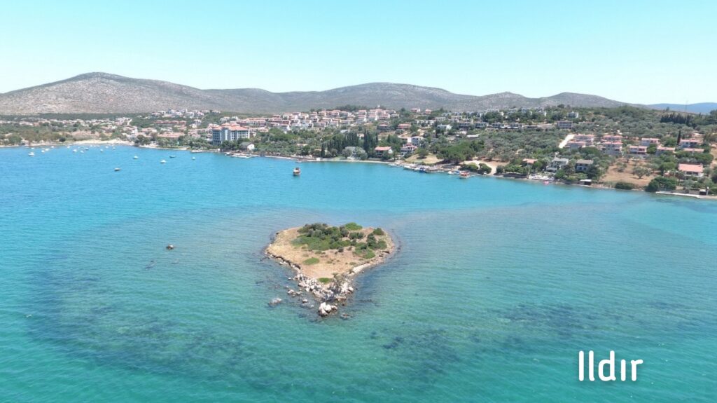 7916_2738_8957-ildir