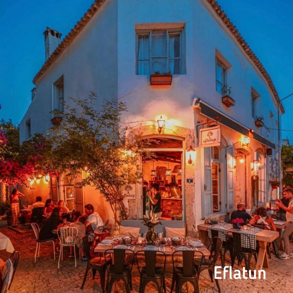 8316_2738_8579-eflatun